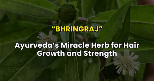 Bhringraj: Ayurveda’s Miracle Herb for Hair Growth and Strength