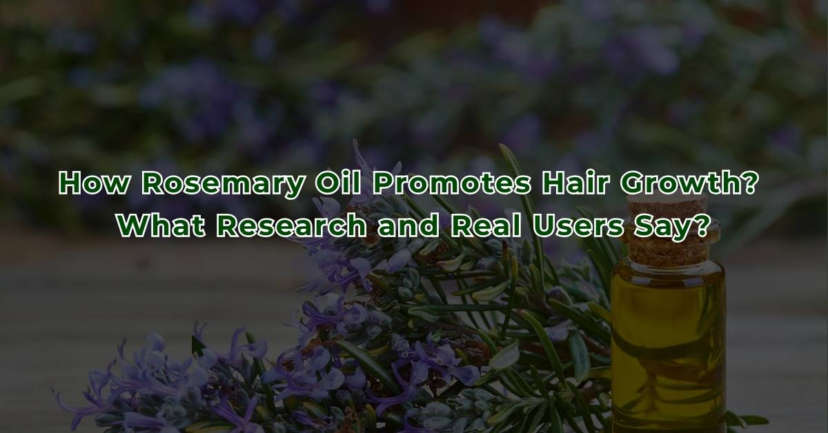 How Rosemary Oil Promotes Hair Growth