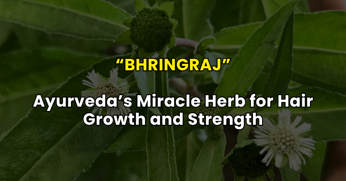 Bhringraj: Ayurveda’s Miracle Herb for Hair Growth and Strength
