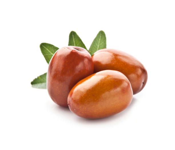 jojoba fruit