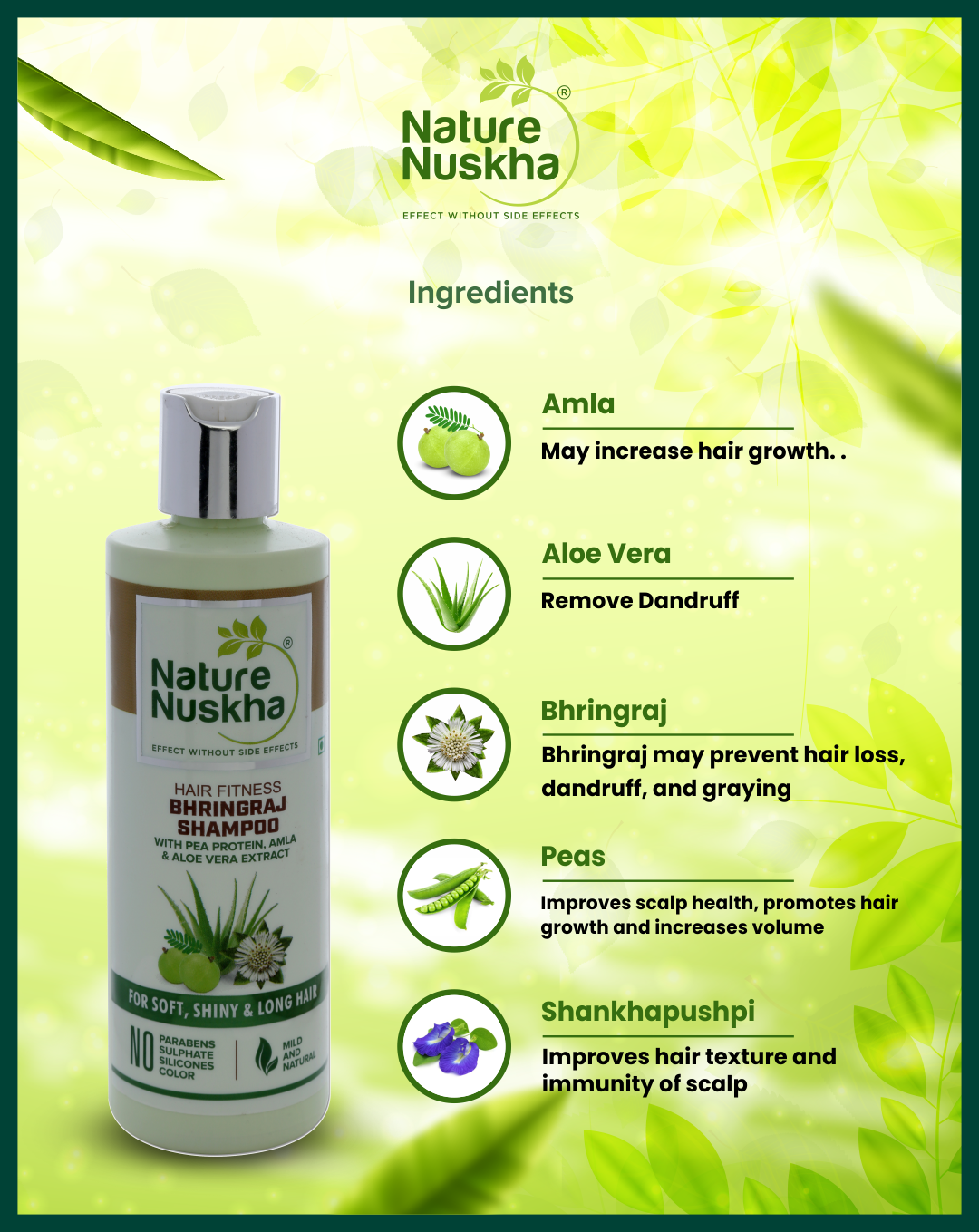 Combo of Protein Rich Bhringraj Shampoo + Nourishing Mist With Natural Ingredients With Pea Protein, Amla and Aloe Extract For Soft, Shiny, Long Hair